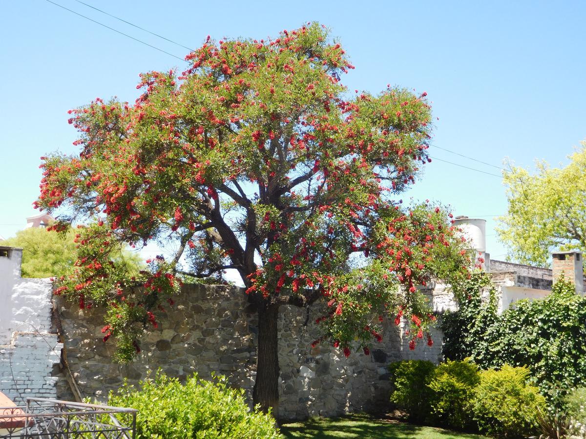 La Posada Alta Gracia Ngoại thất bức ảnh