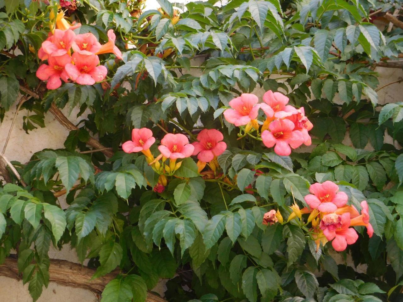 La Posada Alta Gracia Ngoại thất bức ảnh